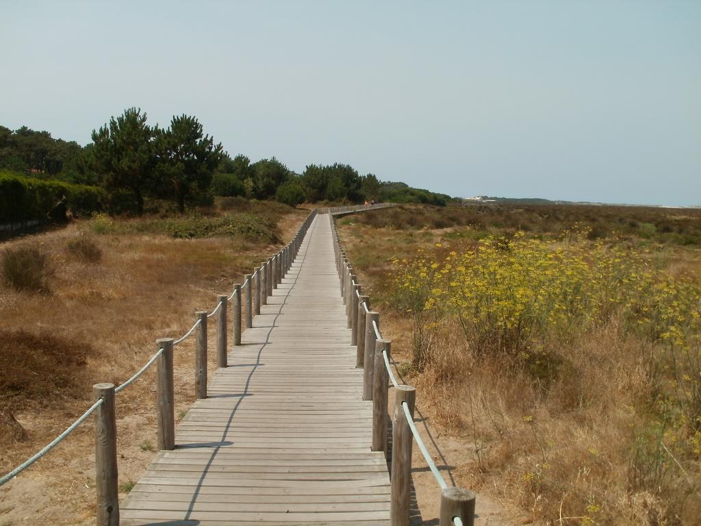 Bestvillas Park Ofir Esposende Exteriér fotografie
